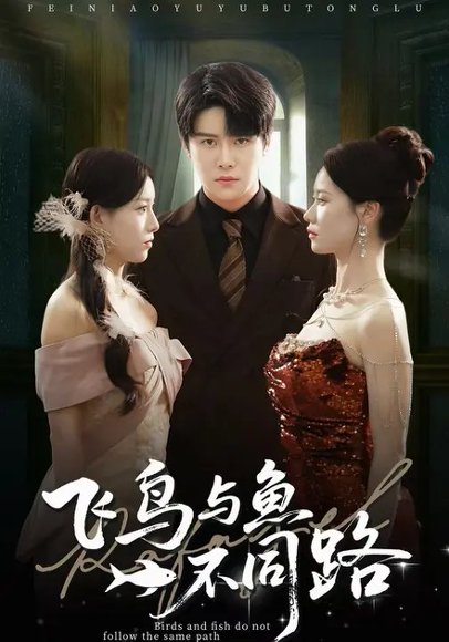 飞鸟与鱼不同路（60集）祝静怡&曲曦晨 高清完整版